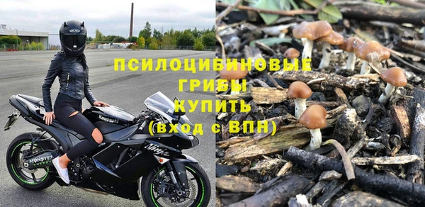 apvp Баксан