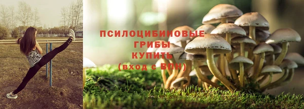 apvp Баксан